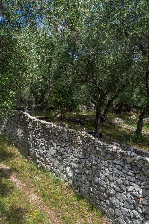 Villa Elaia Suites & Apartments No.2 Γάιος Εξωτερικό φωτογραφία
